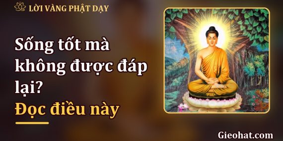 Đối tốt với người mà chẳng được đáp lại? Hãy cứ gieo, đừng đếm