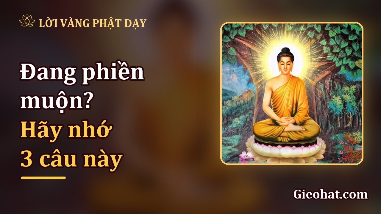 Đang phiền muộn? Hãy khẽ nhắc mình 3 câu này để lòng nhẹ lại