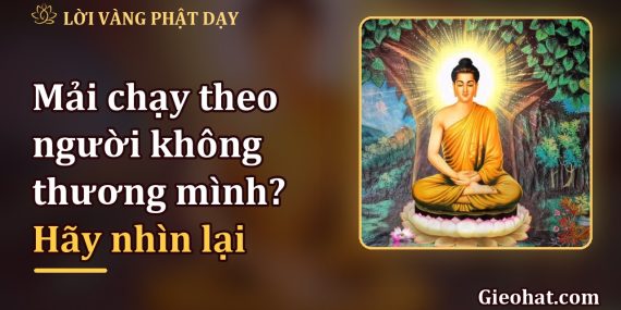 Mải chạy theo người không thương mình, bạn đã quên ai đang thương bạn?