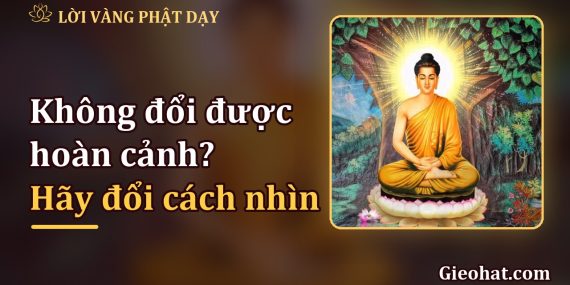 Không đổi được hoàn cảnh? Thử đổi cách nhìn, bình an sẽ mở ra từ bên trong