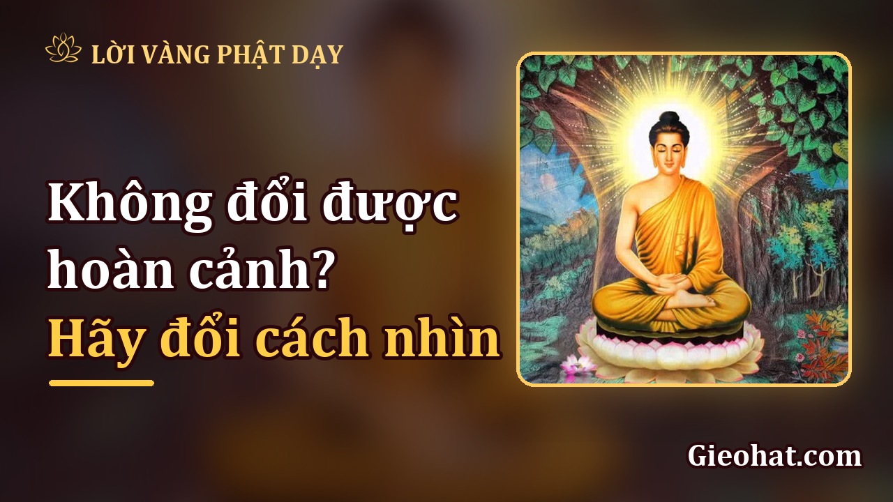 Không đổi được hoàn cảnh? Thử đổi cách nhìn, bình an sẽ mở ra từ bên trong