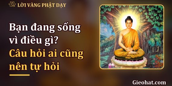 Bạn đang sống vì điều gì? Dừng lại một chút để hỏi lòng mình