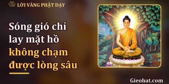 Sóng gió chỉ lay mặt hồ: nội tâm sâu thì chẳng gió nào khuấy nổi
