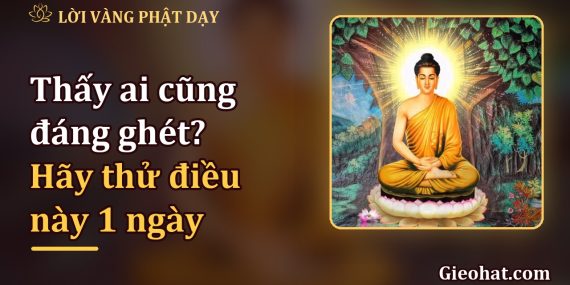 Thấy ai cũng đáng ghét? Thử một ngày không thấy ai xấu, xem lòng nhẹ thế nào