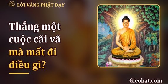 Thắng một cuộc cãi vã, bạn đã mất đi điều gì?