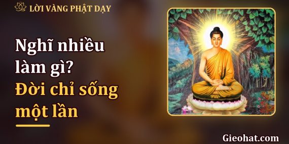 Nghĩ nhiều để làm gì? Đời chỉ sống một lần, hãy bước đi nhẹ nhàng