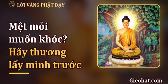 Mệt mỏi muốn khóc? Hãy thương lấy mình trước khi thương người