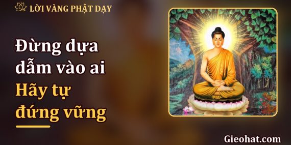 Đừng dựa dẫm vào ai, hãy học cách tự đứng vững