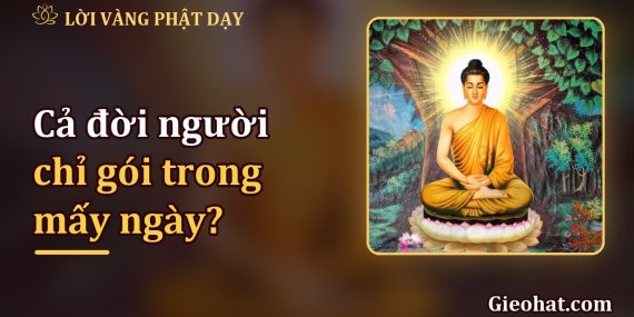 Cả đời người chỉ gói trong mấy ngày: hôm qua, hôm nay, ngày mai
