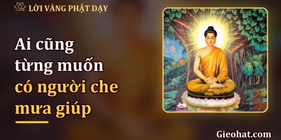 Ai cũng từng muốn có người che mưa giúp, nhưng đường vẫn phải tự đi