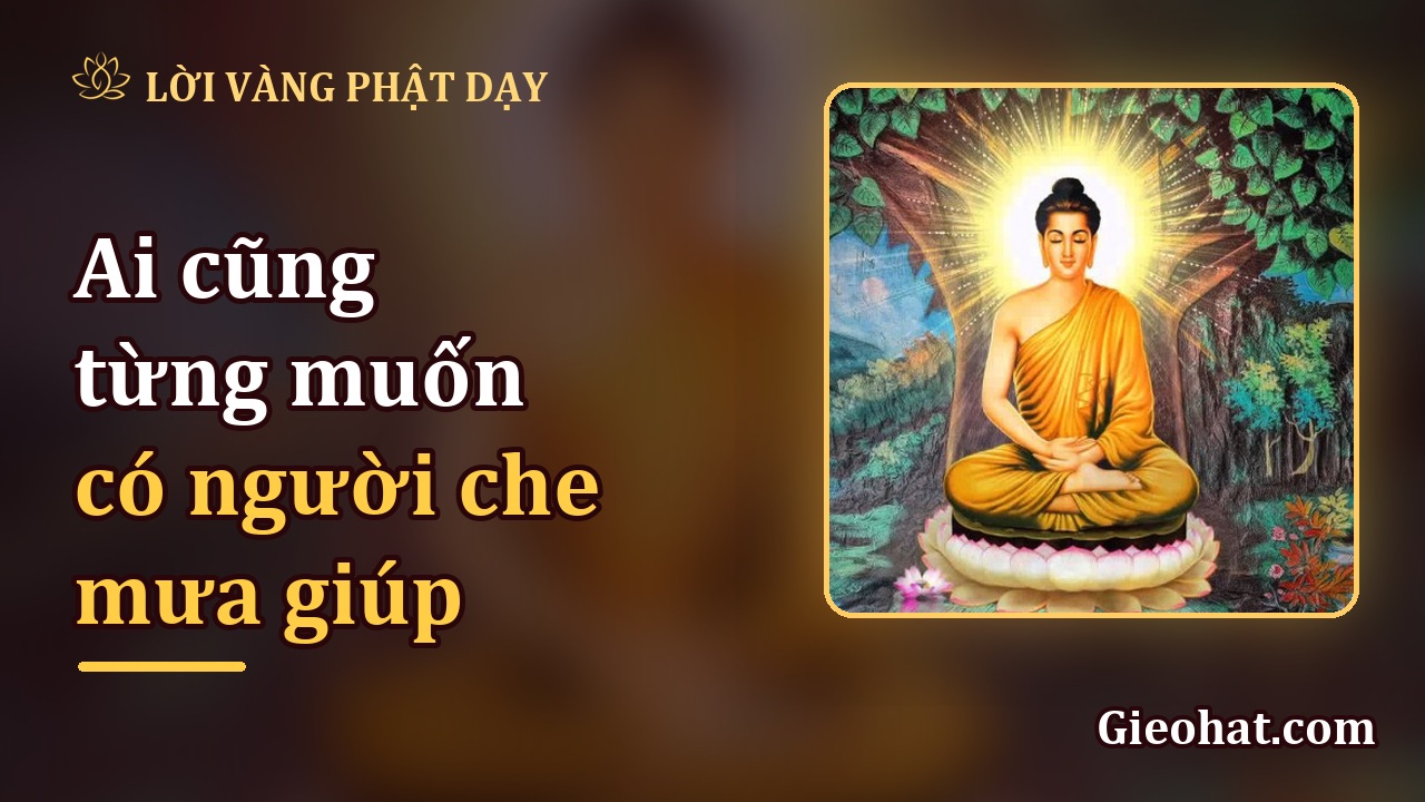 Ai cũng từng muốn có người che mưa giúp, nhưng đường vẫn phải tự đi