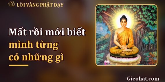 Mất rồi mới biết mình từng có những gì: hãy trân quý điều bình thường