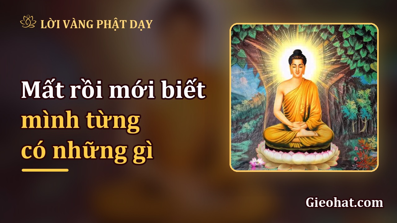 Mất rồi mới biết mình từng có những gì: hãy trân quý điều bình thường