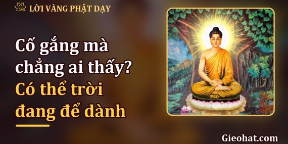 Cố gắng mà chẳng ai thấy? Có thể trời đang để dành điều tốt hơn