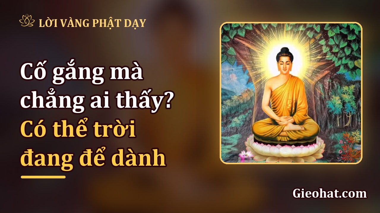 Cố gắng mà chẳng ai thấy? Có thể trời đang để dành điều tốt hơn
