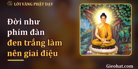 Đời như phím đàn: phím trắng phím đen cùng làm nên giai điệu