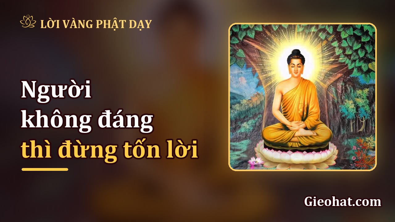 Người không đáng thì đừng tốn lời: sống nhẹ, tùy duyên mà vui